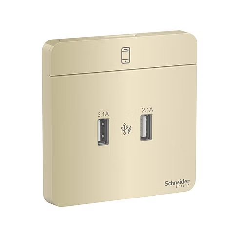 施耐德 AvatarOn 沉醉金 2位2.1A USB充電 插座