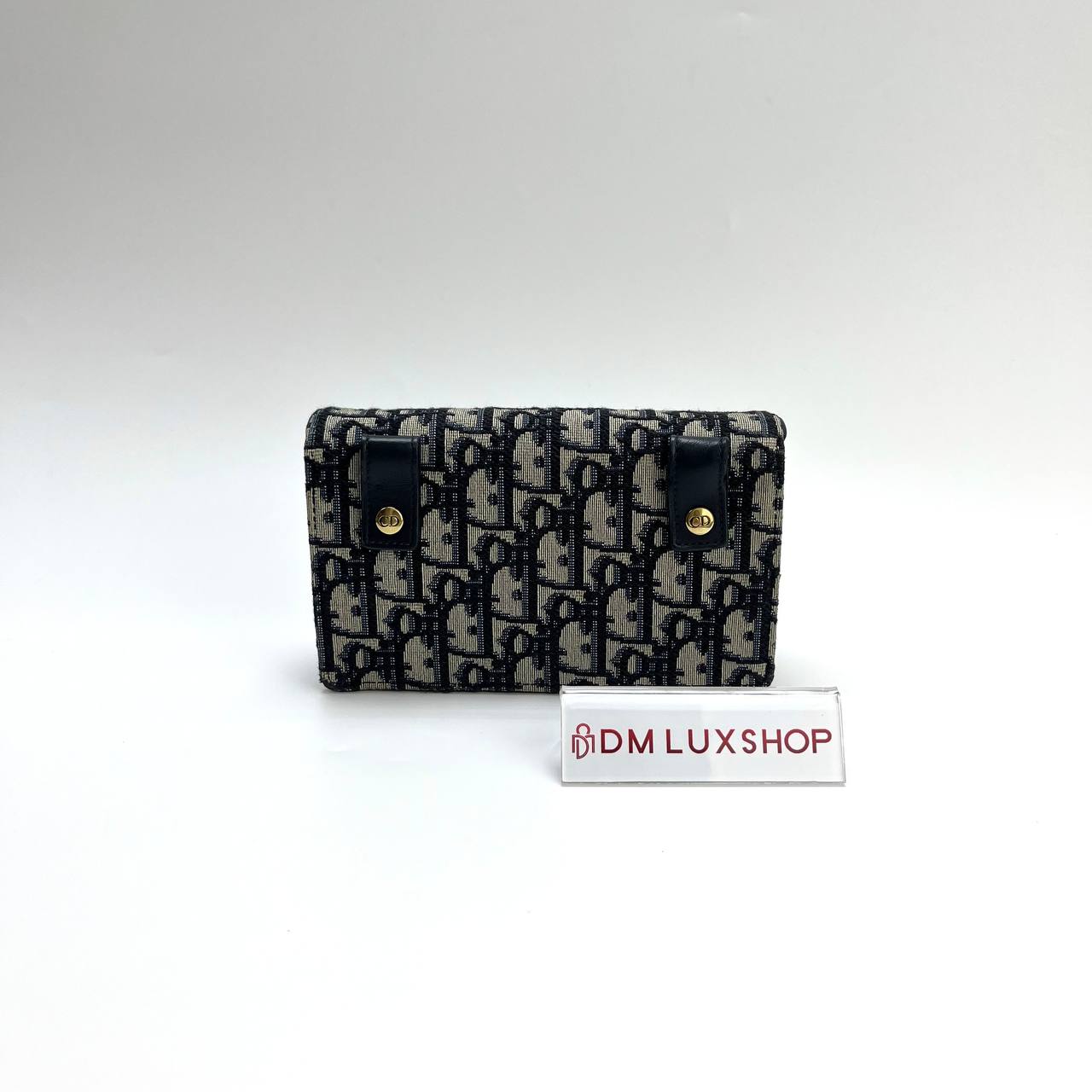 Dior Oblique Saddle Clutch Belt GHW