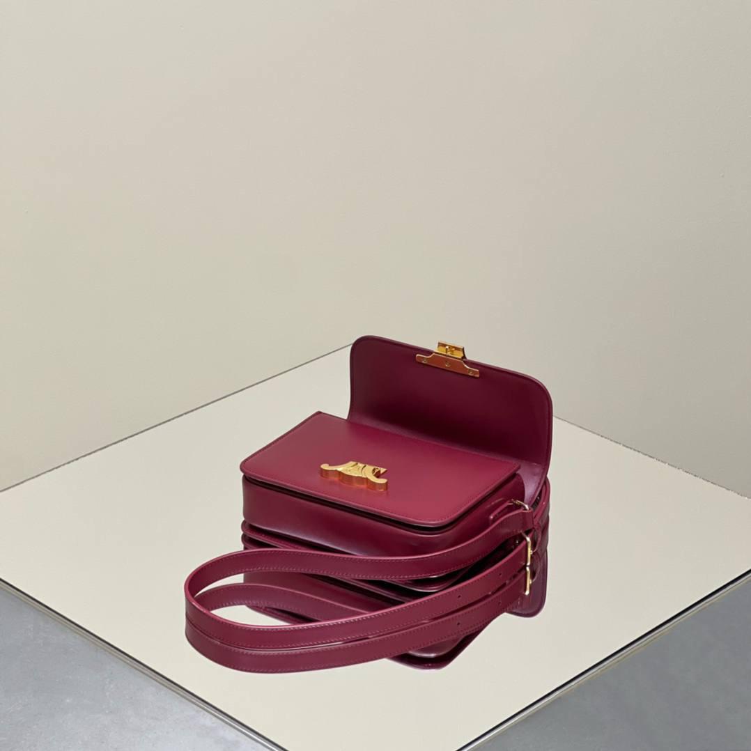 🔥大货实拍图 𝗖𝗘𝗟𝗜𝗡𝗘 ♥ 𝗧𝗘𝗘𝗡 𝗧𝗥𝗜𝗢𝗠𝗣𝗛𝗘 型号：188423 中号尺寸：22.5*16*7cm 小号尺寸：18.5*14*6cm