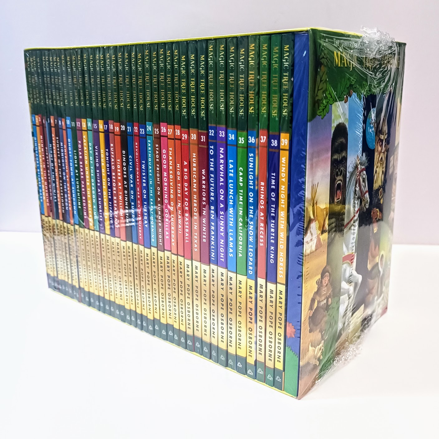 Magic Tree House 1-39   神奇樹屋第一季       英文版繪本帶練習冊   B156