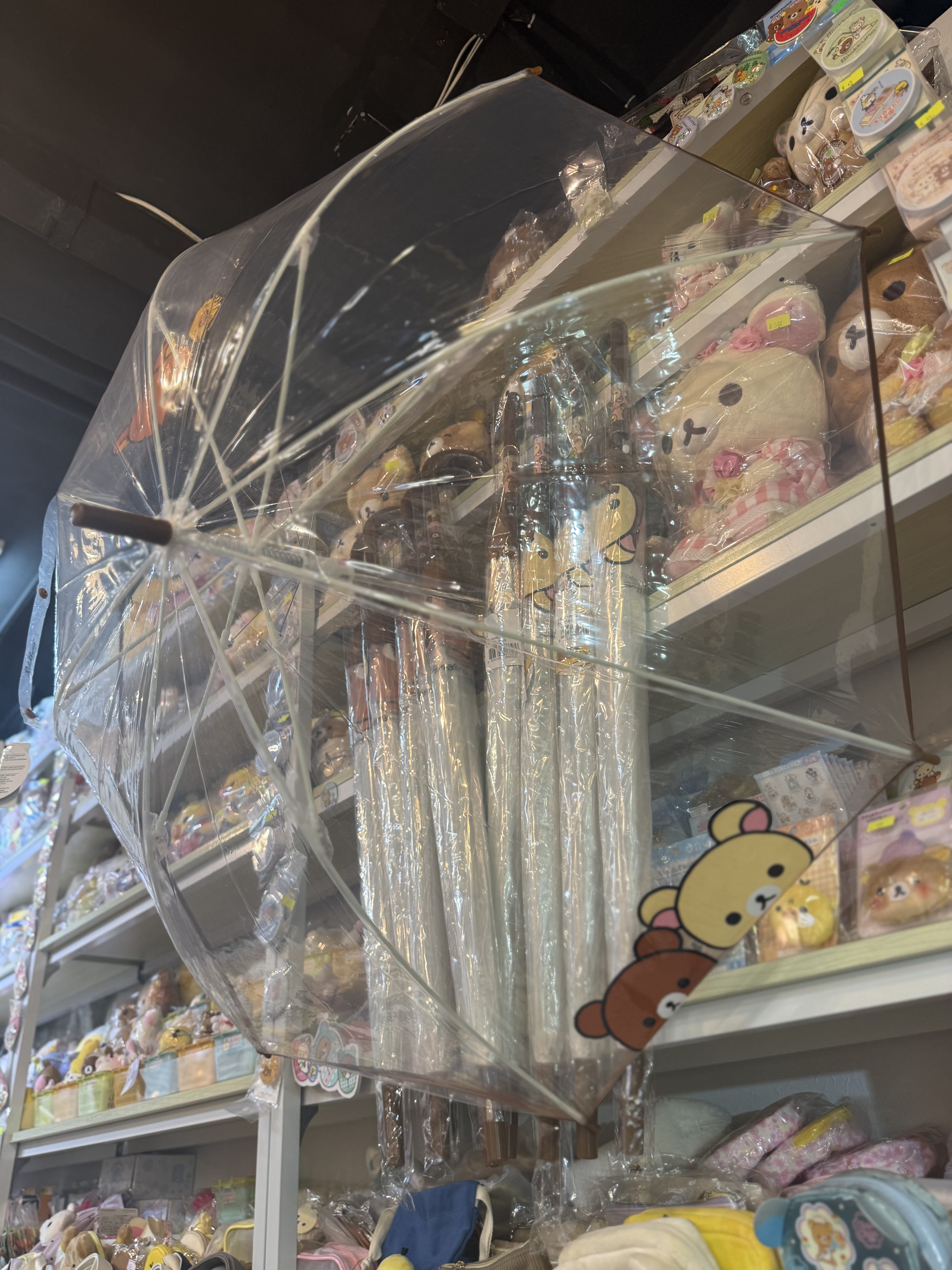 《現貨》全新Rilakkuma韓國專店限定 長身透明遮
