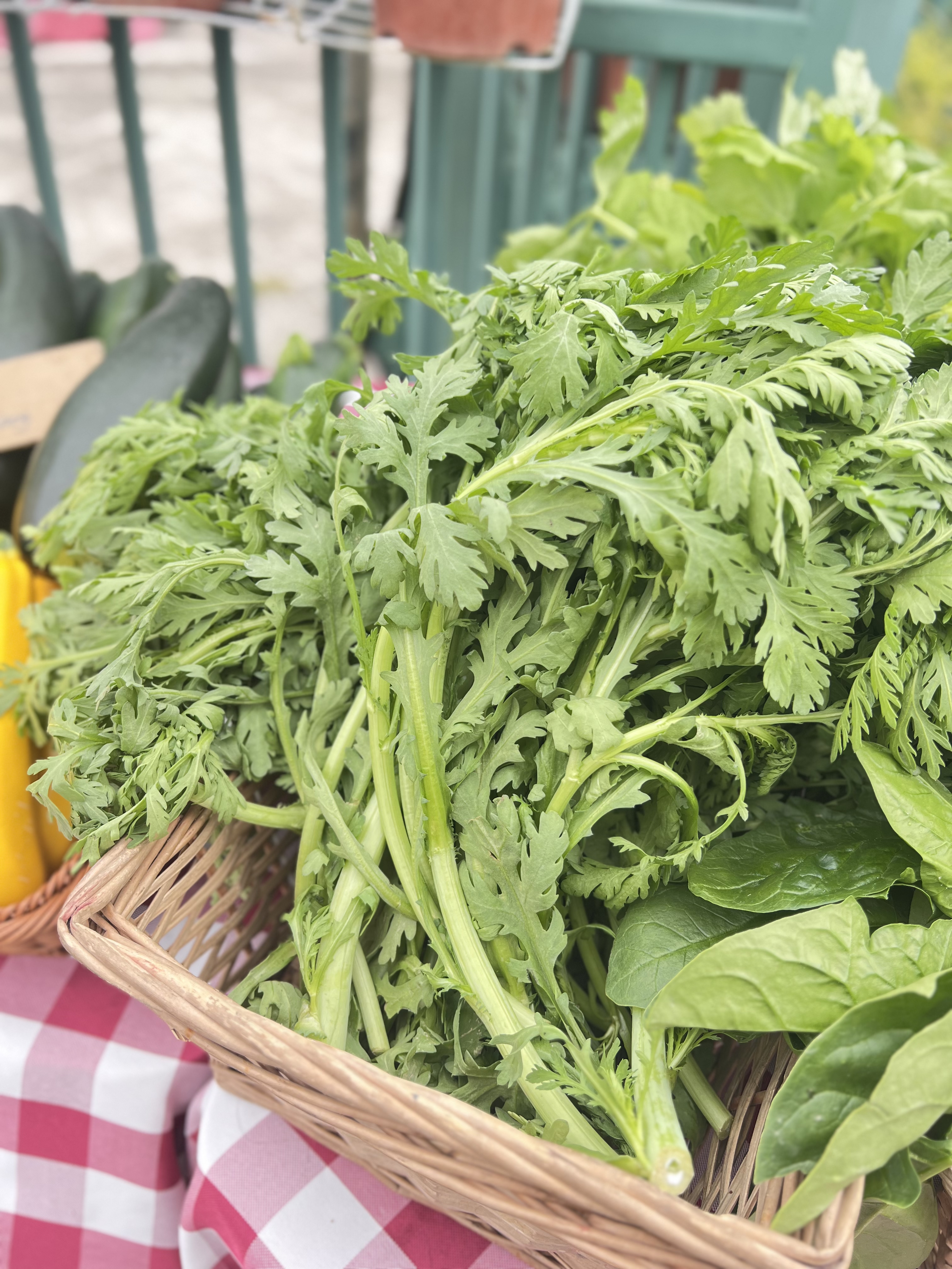 酵素皇帝菜 500g