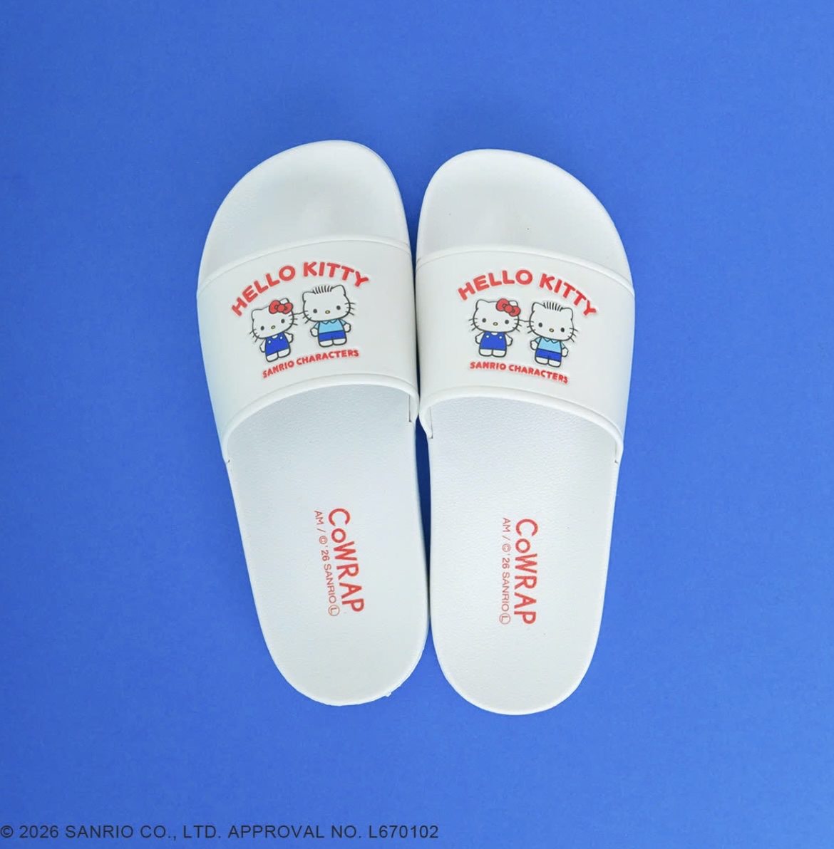 日本預訂📍日本Sanrio可愛圖案夏日拖鞋 1/4日本開售