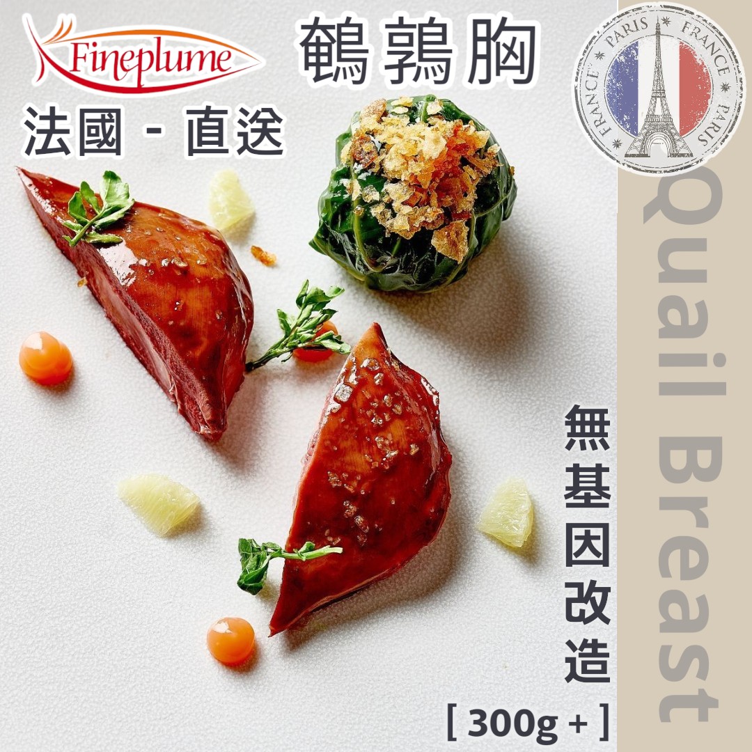 法國 ▪︎ Fineplume ▪︎ 鵪鶉胸肉 [無激素 / 無抗生素/ 約300g± ] Quail Breast 