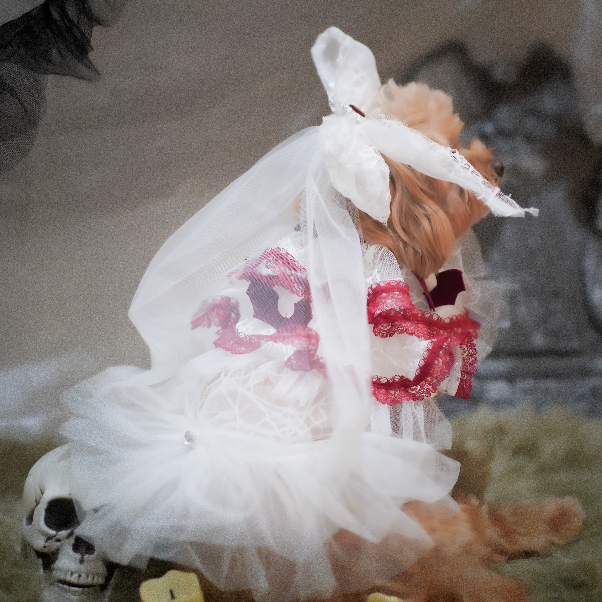 🎃Haunted Castle – Haunted Castle Bridal Veil