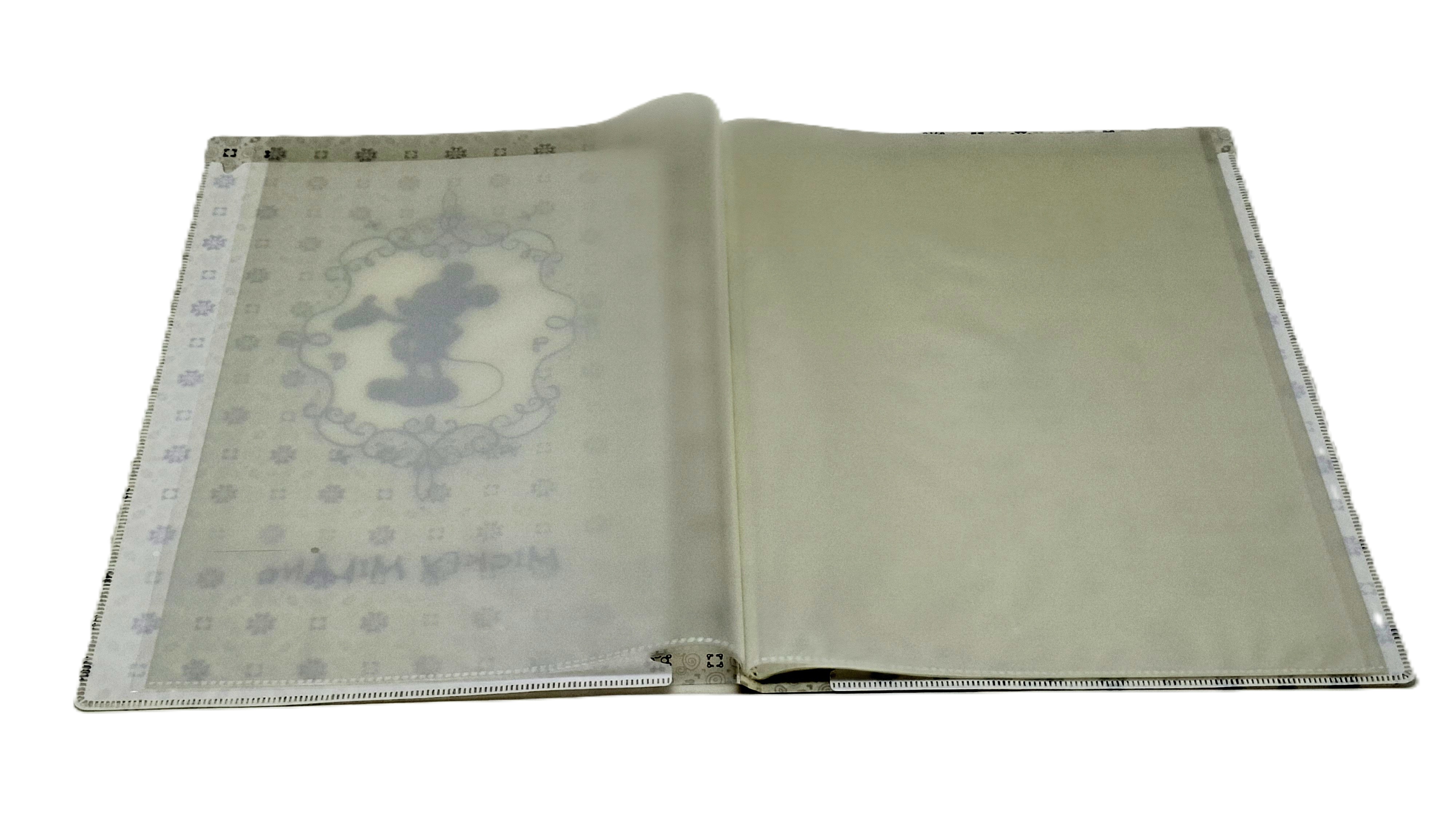 20入資料本 Mickey Mouse (DPAA-251)