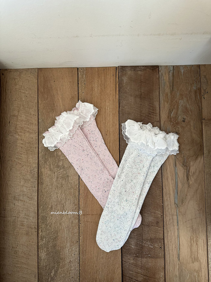 🇰🇷mienbloomb socks