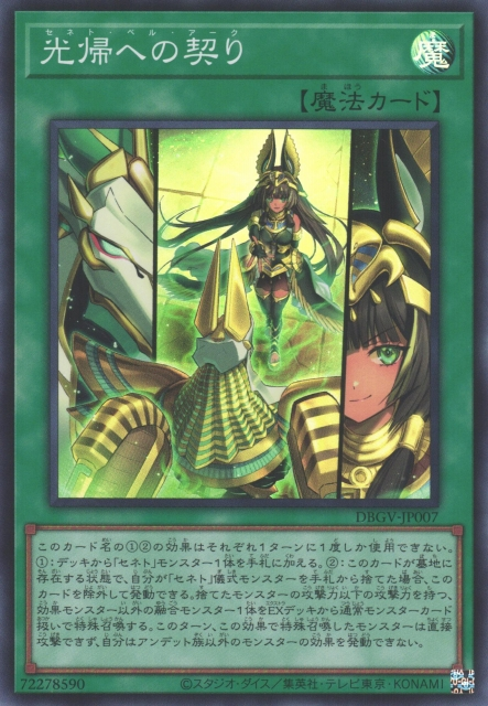 DBGV-JP007 塞尼特 光歸契約