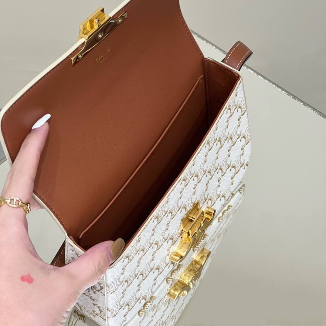 🔥大货实拍图 𝗖𝗘𝗟𝗜𝗡𝗘 ♥ 𝗧𝗥𝗜𝗢𝗠𝗣𝗛𝗘 𝗦𝗛𝗢𝗨𝗟𝗗𝗘𝗥 𝗕𝗔𝗚 型号：194142 尺寸：20*10*4cm