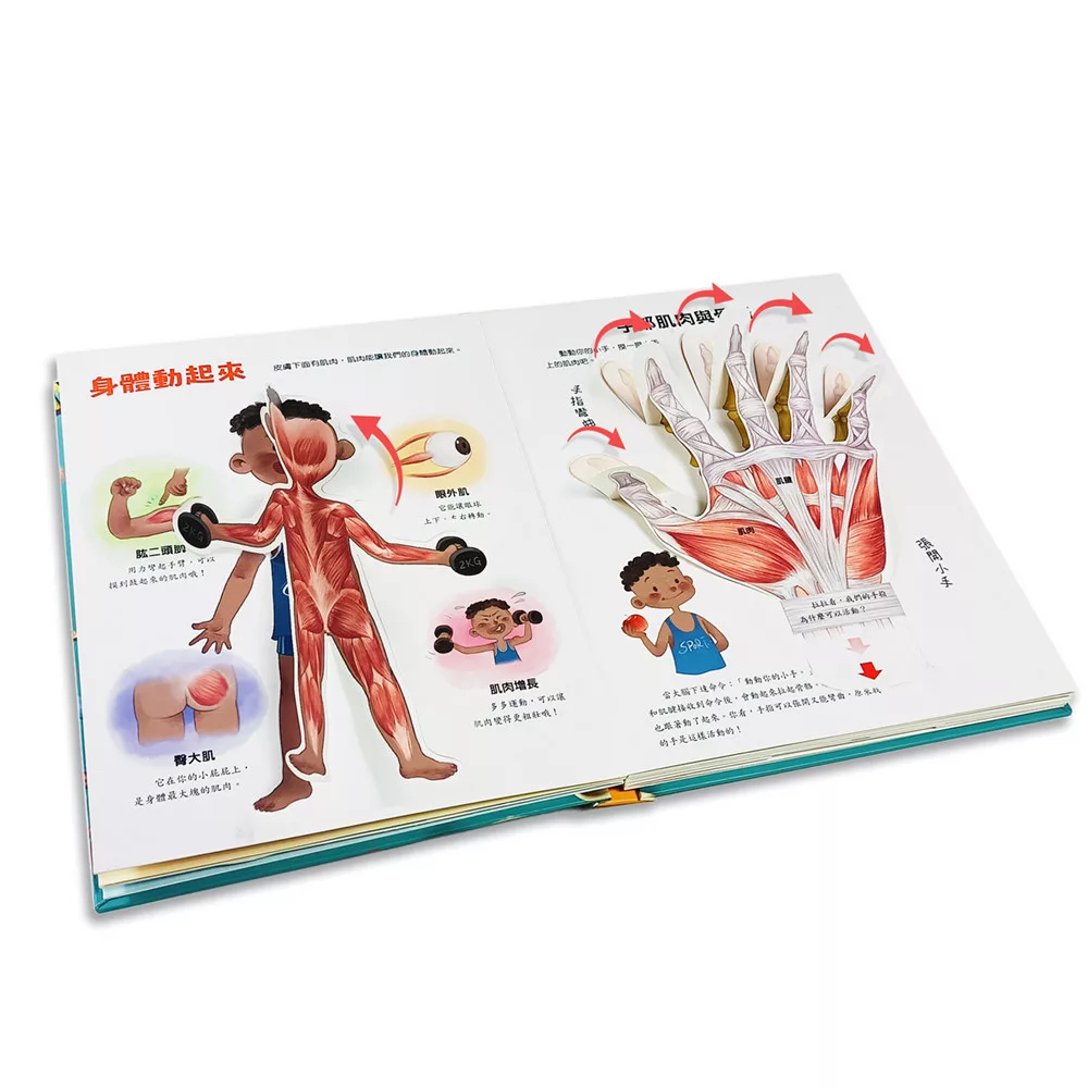 🔸預購貨品🔸身體不可思議的祕密：3D立體機關書