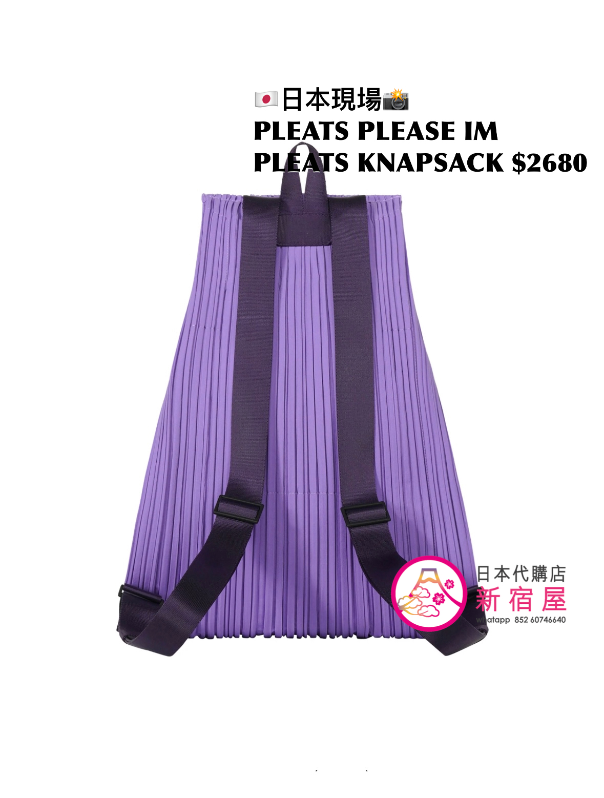 PLEATS PLEASE ISSEY MIYAKE PLEATS KNAPSACK 