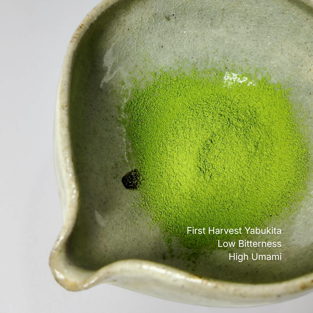 ZENZY MATCHA | TAKUMI2.0 MATCHA POWDER