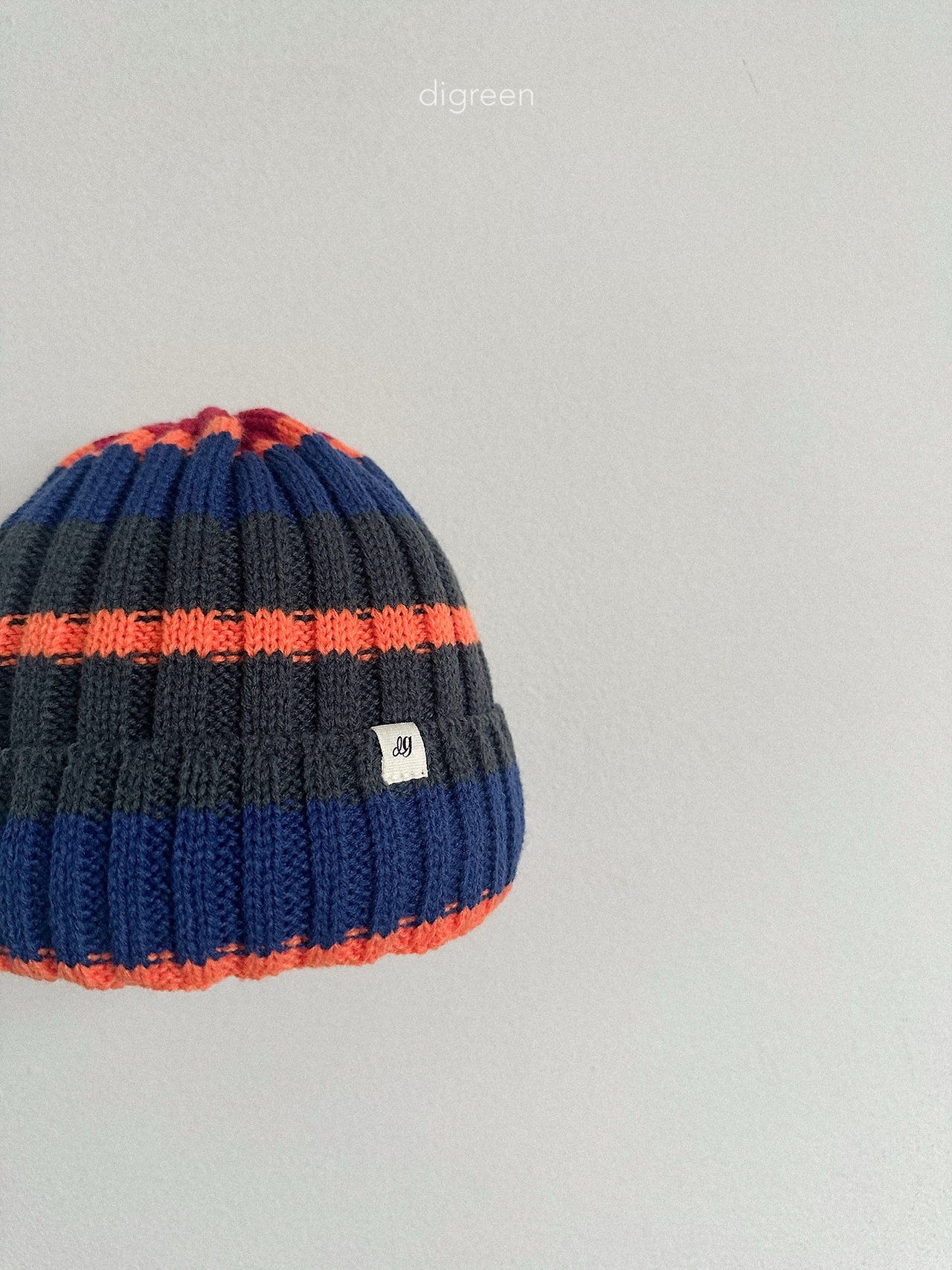 Digreen | multi beanie 