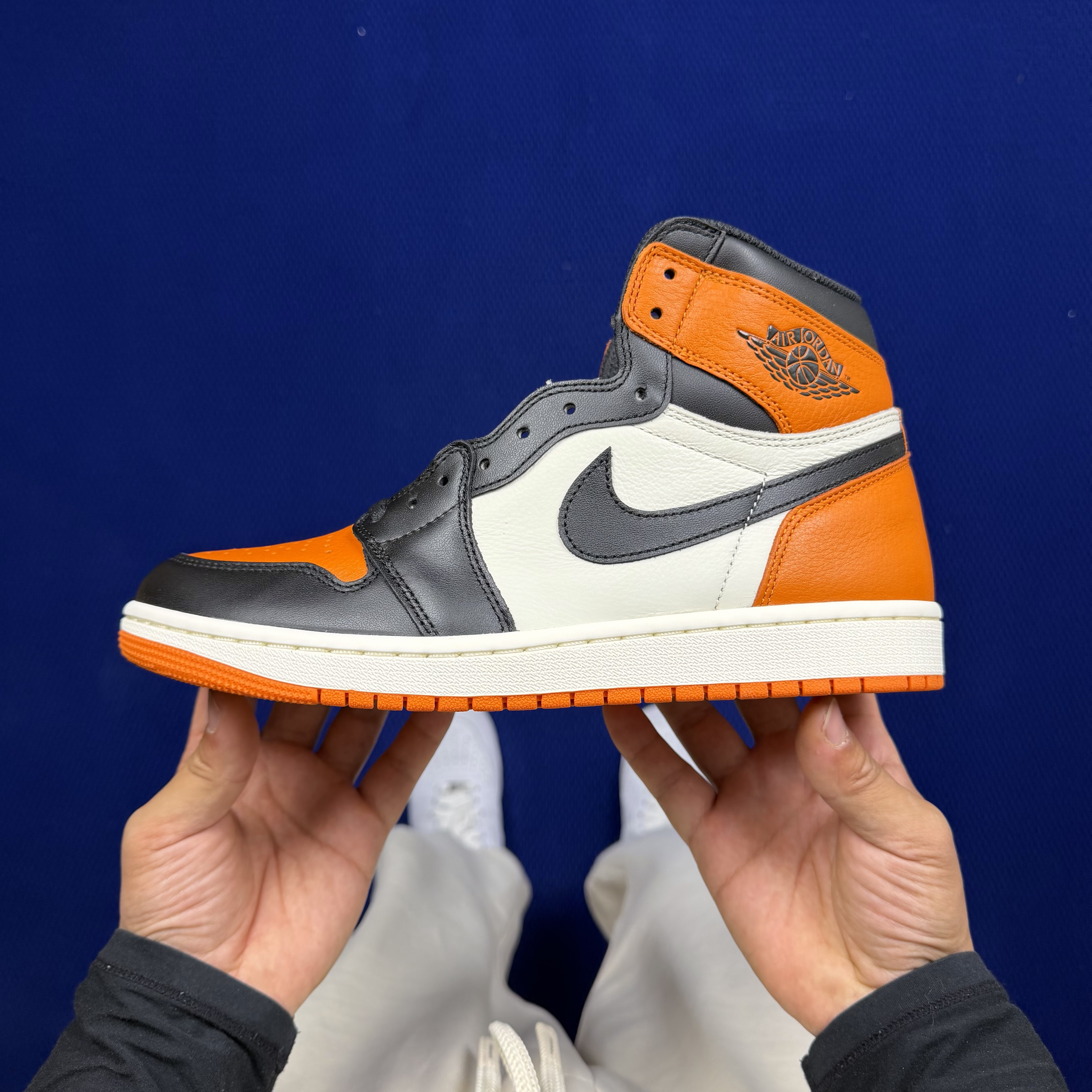 Nike Air Jordan 1 Retro High OG Shattered Backboard DZ5485-008