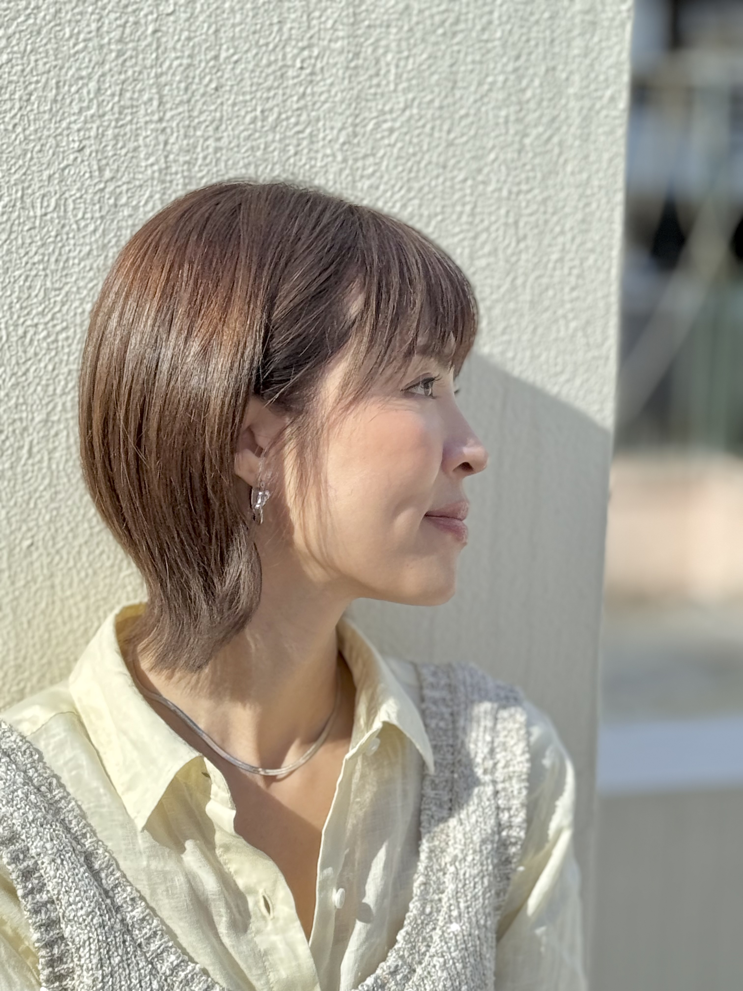 Sliver snake chain stainless necklace