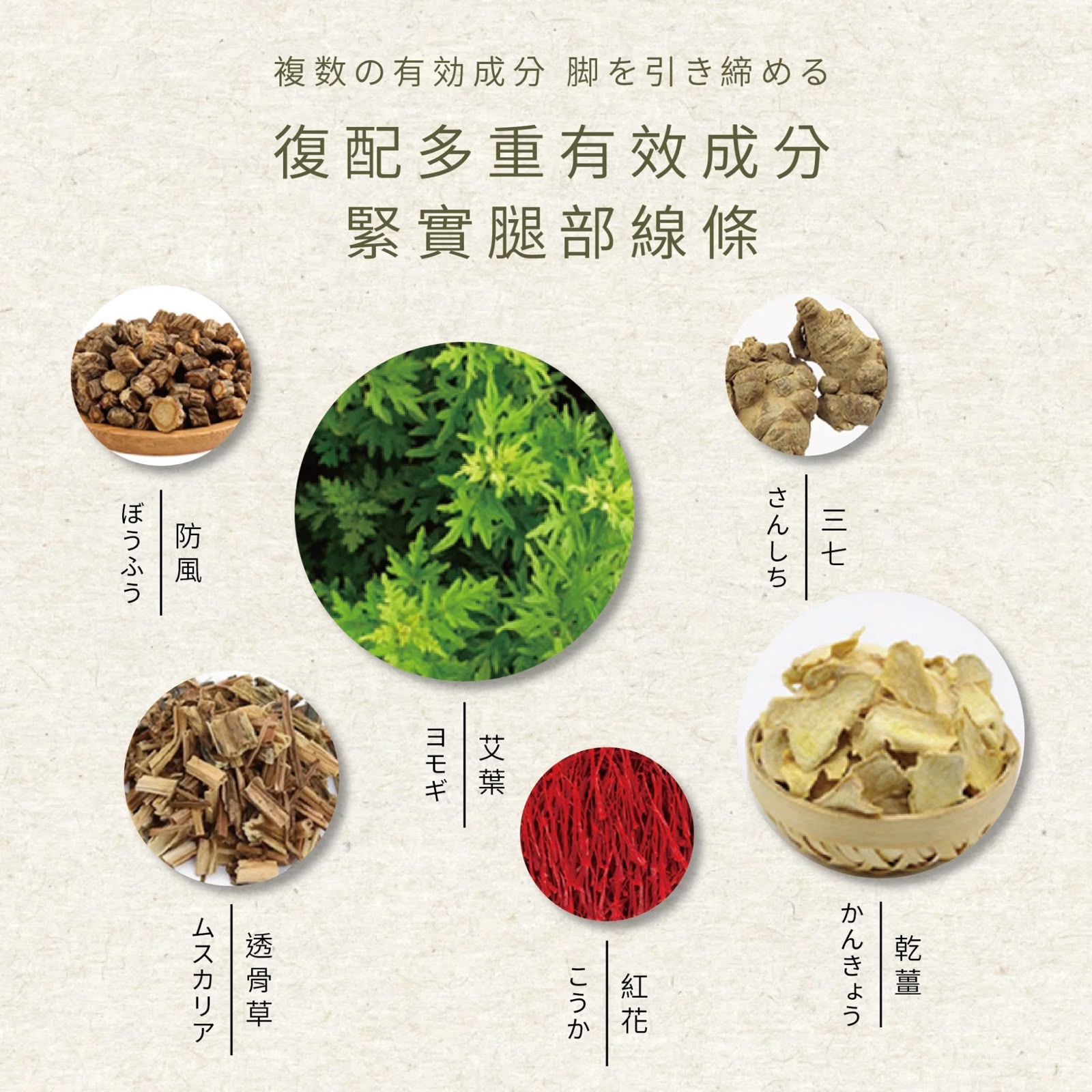 台灣淨森堂 艾葉纖腿貼 (一盒108貼)