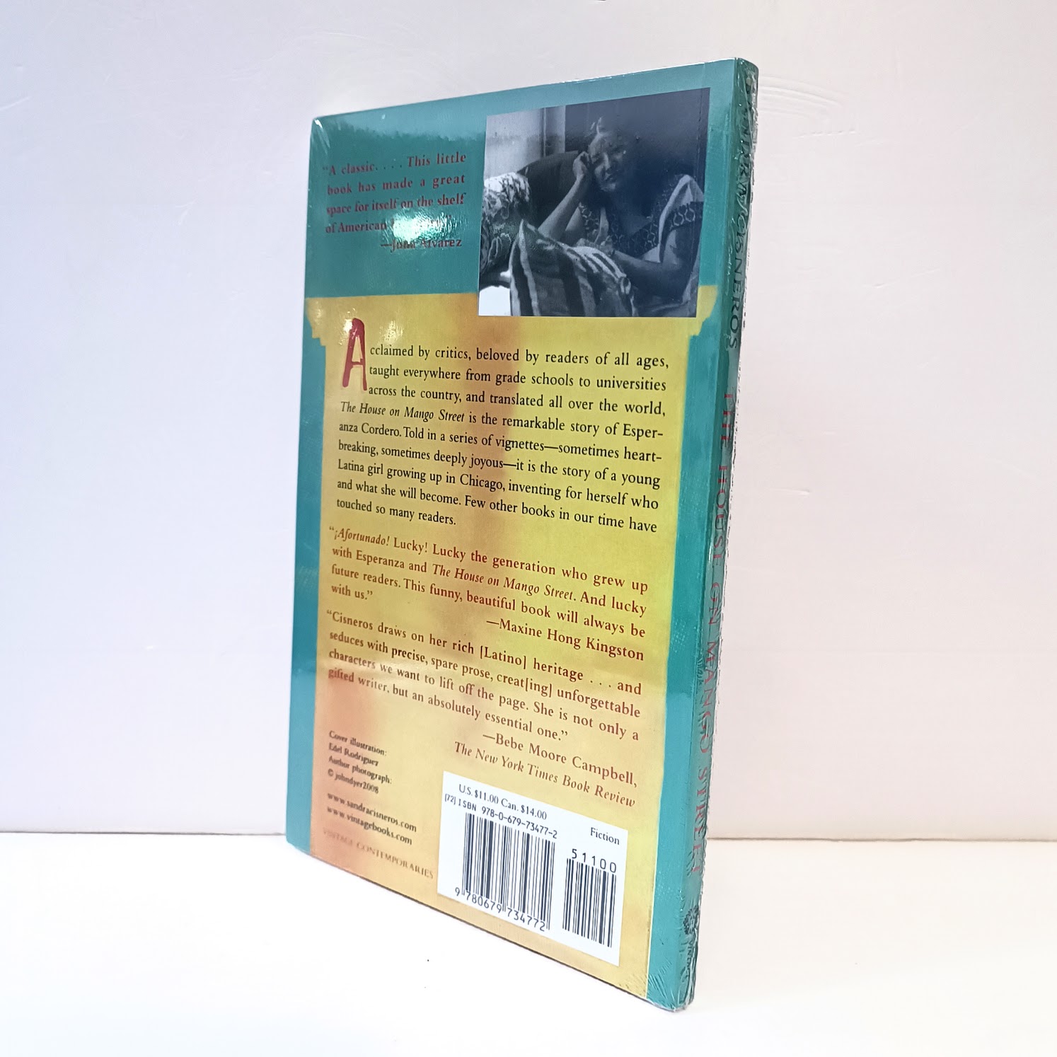 The house on mango street 芒果街上的小屋 A43	