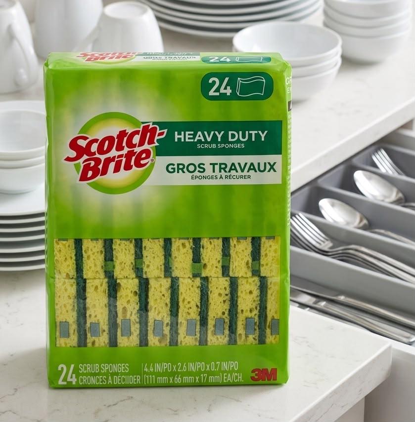 加拿大直送 Scotch Brite 強力去污百潔布 (24塊)  