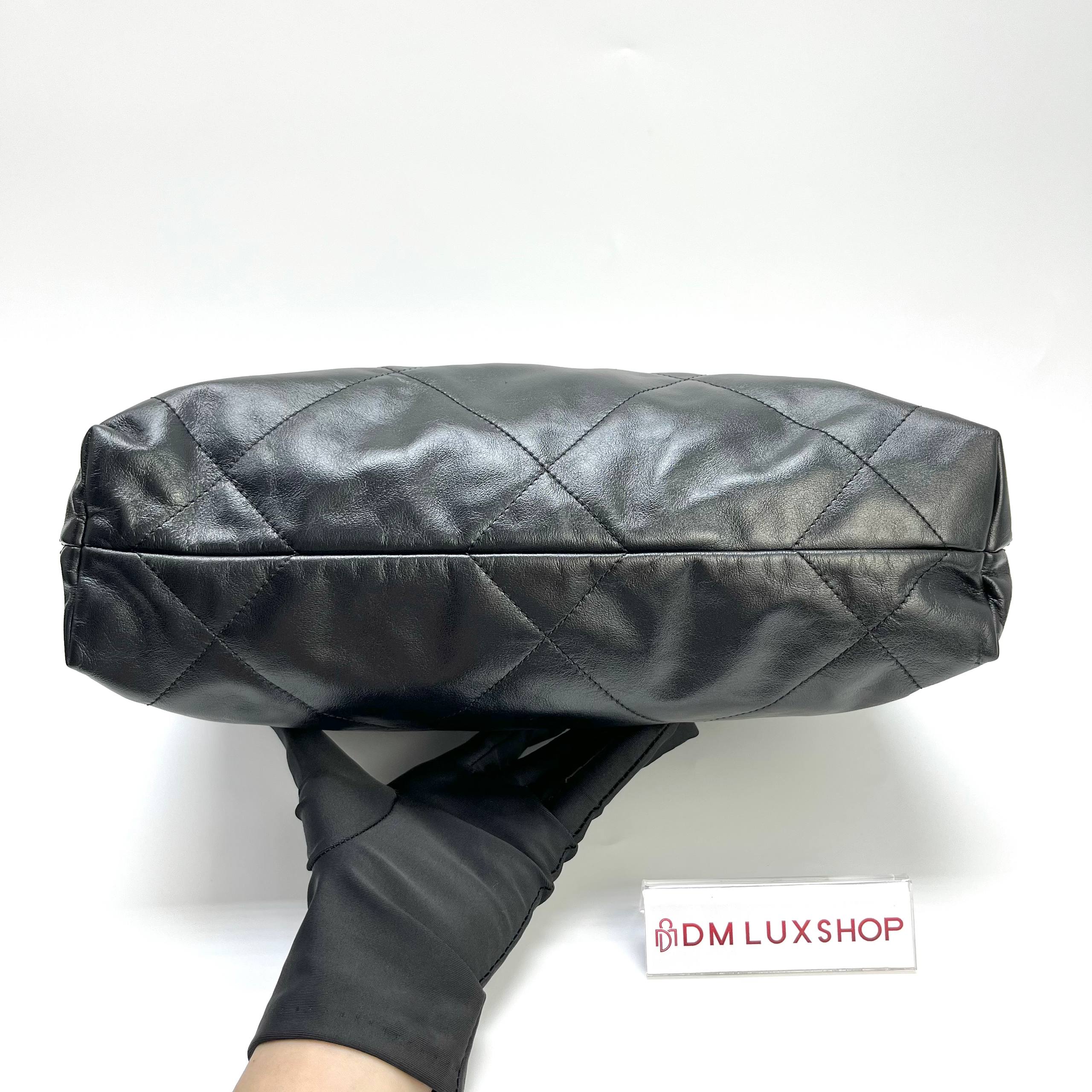 Chanel 22 Small GHW (Microchip)