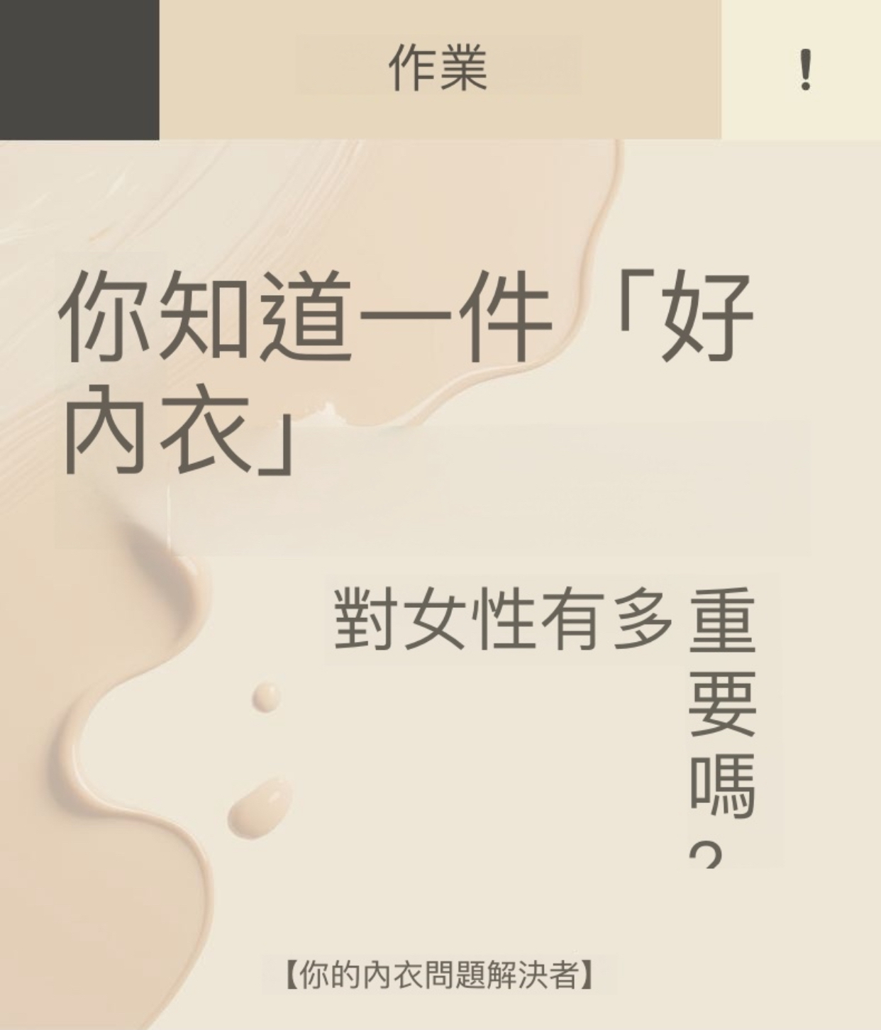 5019-20提拉修副乳貼身舒適內衣套裝