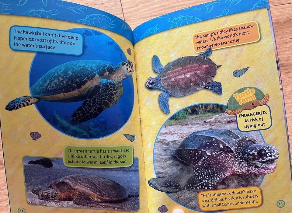 National Geographic Kids Level 2 國家地理分級讀物 第二季 L2 兒童百科書｜25 books｜點讀版