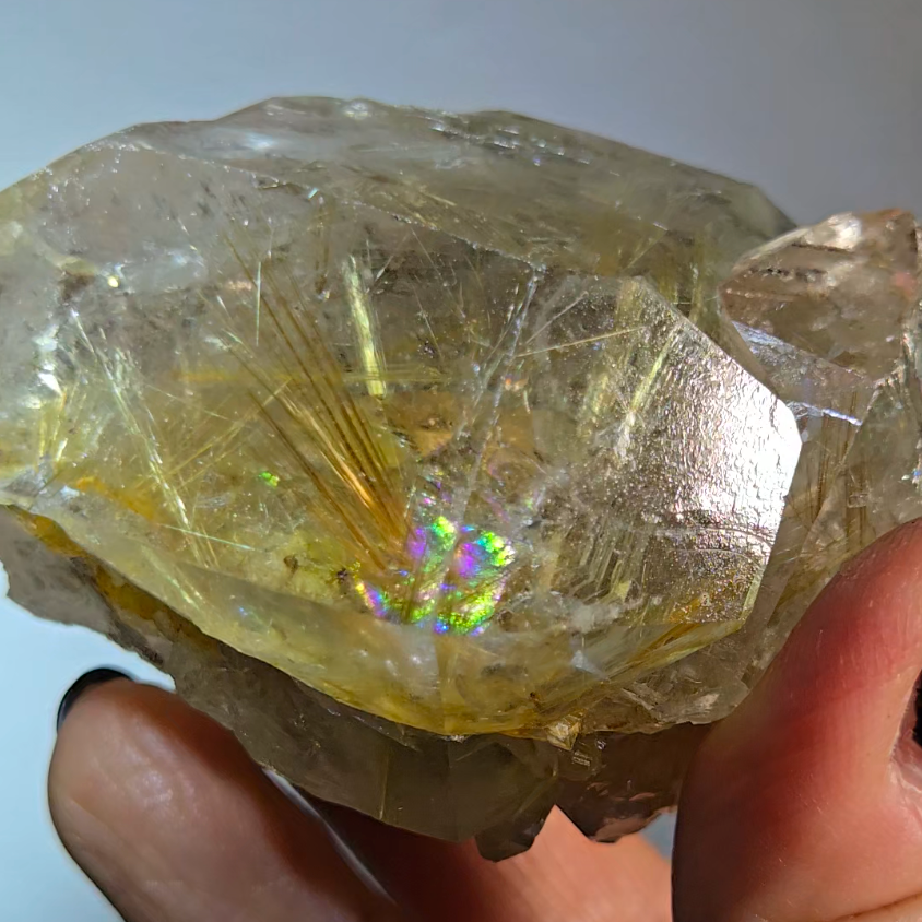 Golden starburst rutiles on black hematite in quartz - RT1429