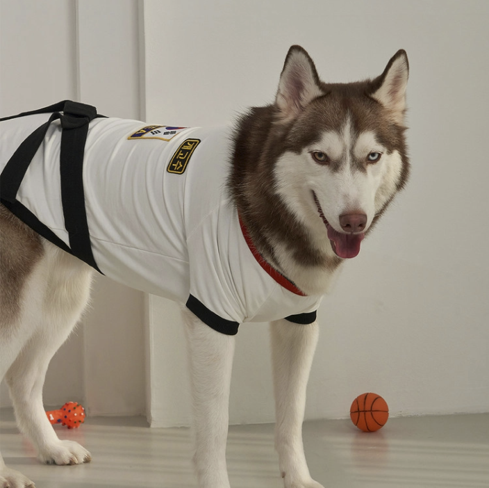 *SuperPet 🇰🇷 寵物跆拳道服（DG192）