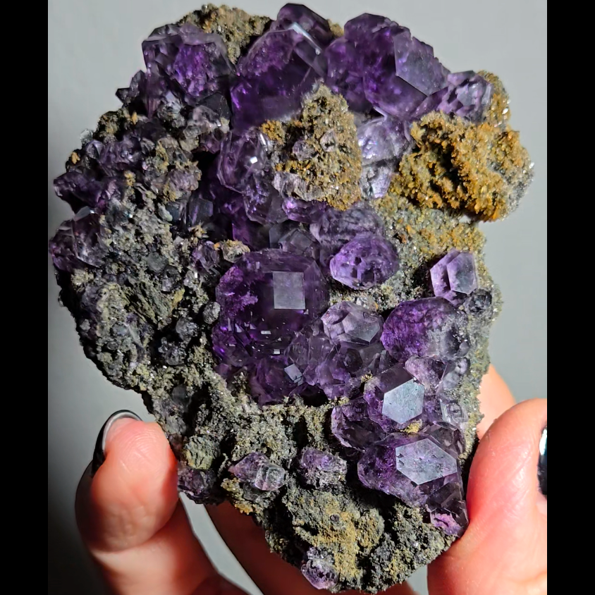 Tanzanite fluorite with perfect dodecahedrons - FL368