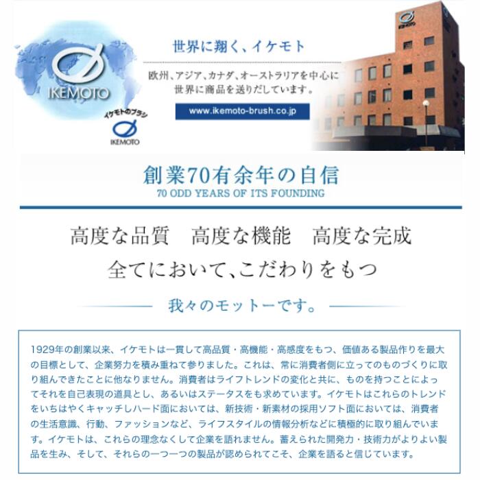 【現貨】🔥🔥【日本製《池本》椿油護髮按摩梳】