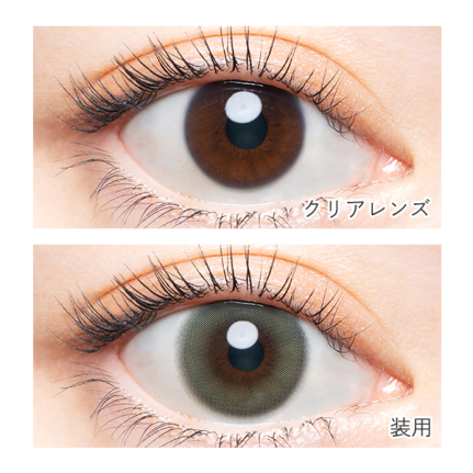 AngelColor Bambi Series - Vintage Sage (1day/10P)