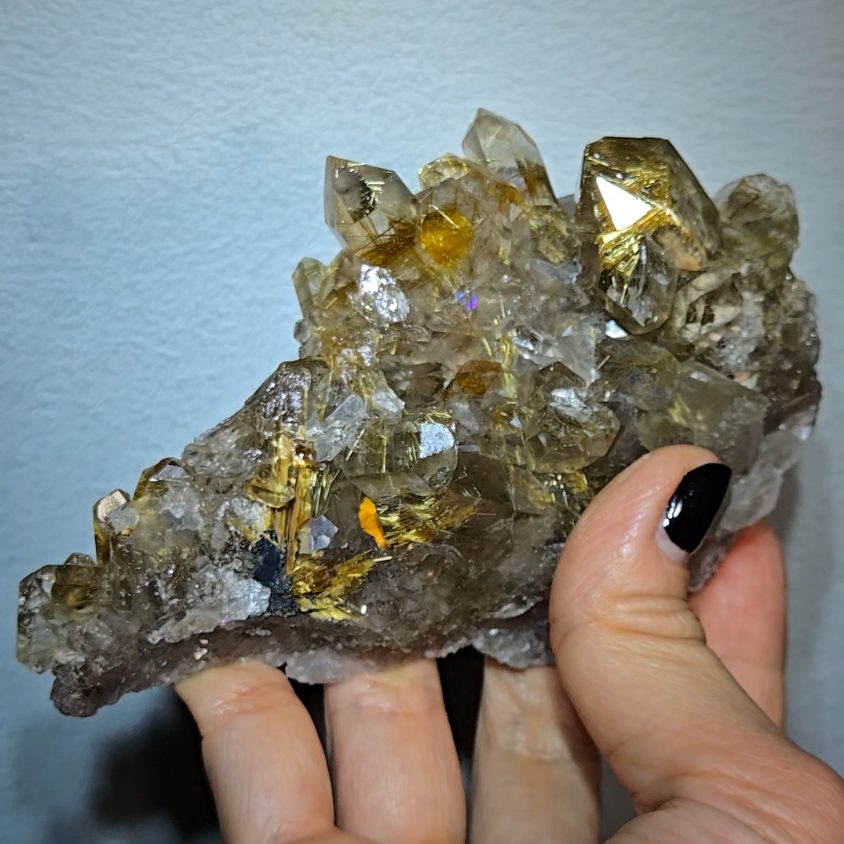 High-grade golden starburst rutiles on black hematite in quartz - RT1434