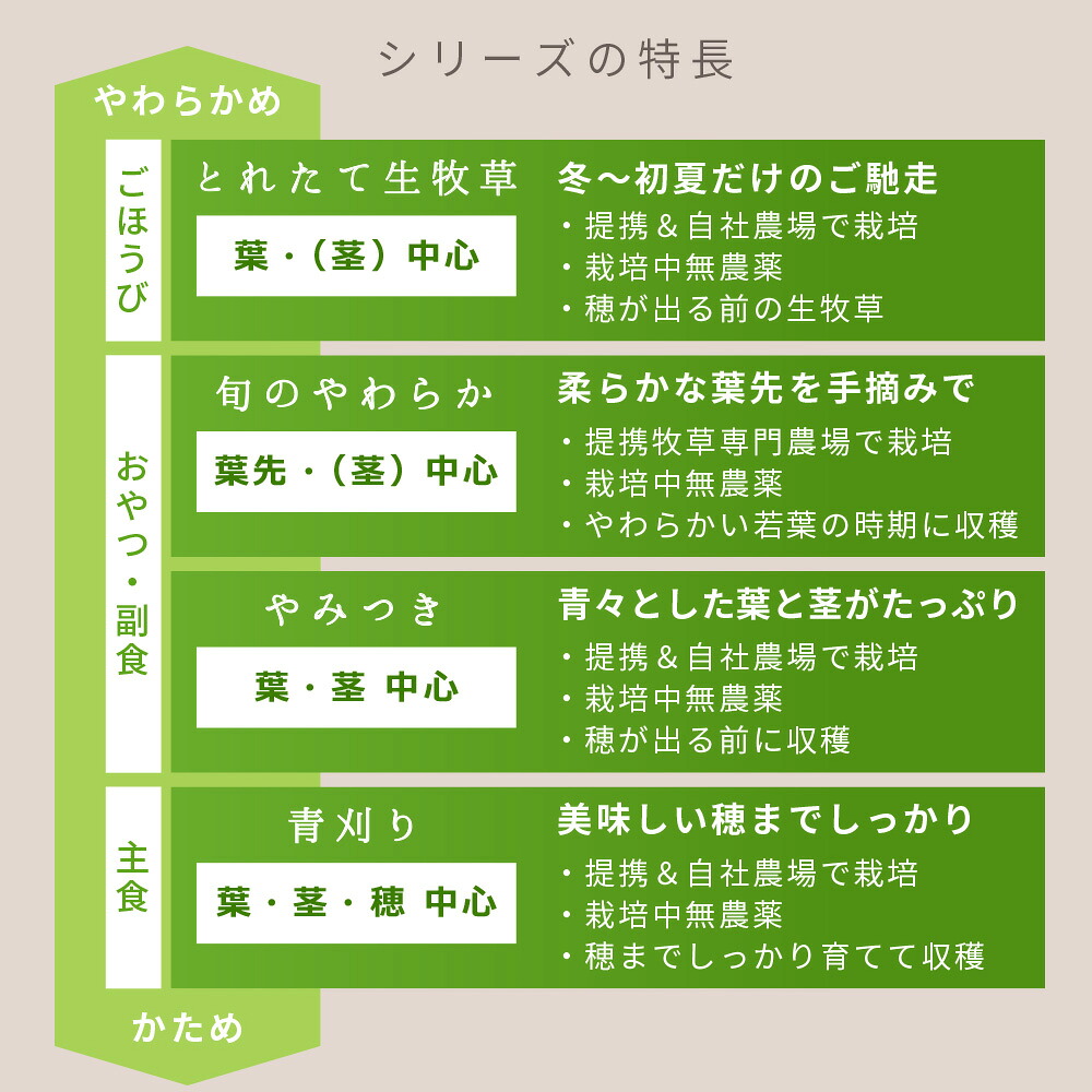 日本Leaf Corp 國產上癮提摩西草100g 