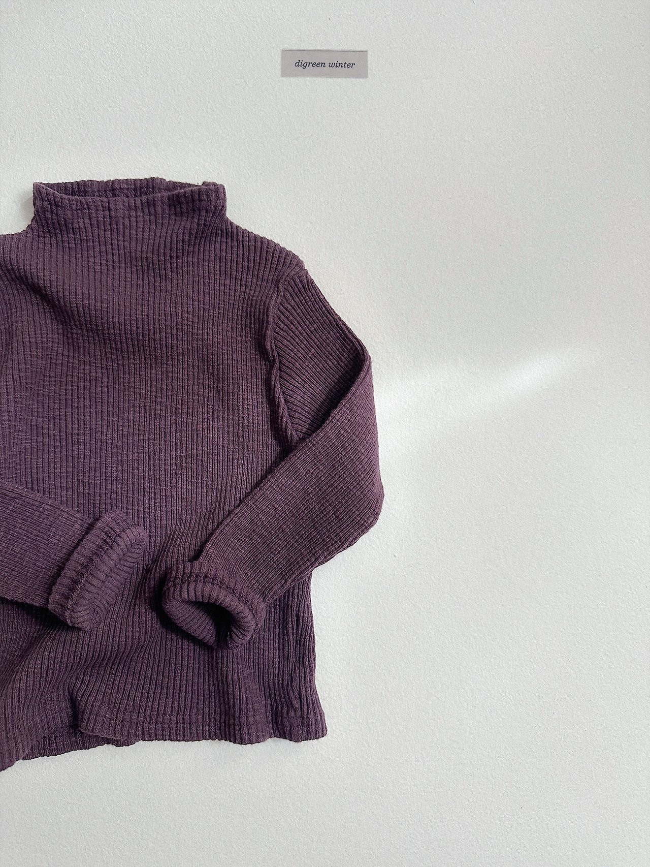 Digreen | Taupe Turtle-neck Tee 