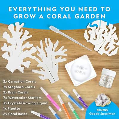 National Geographic水晶珊瑚實驗套裝 Crystal Reef水晶培養玩具 STEM科學創意手作玩具