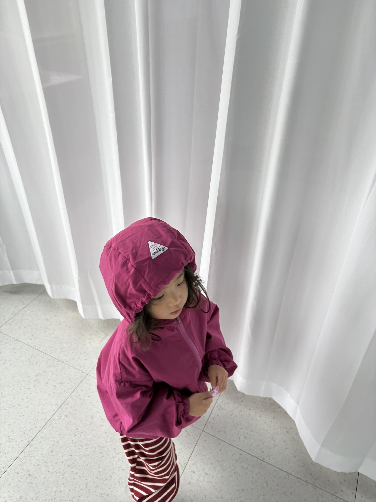Pepper | Curry Windbreaker
