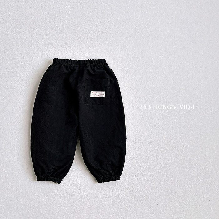 🇰🇷vivid_i pants