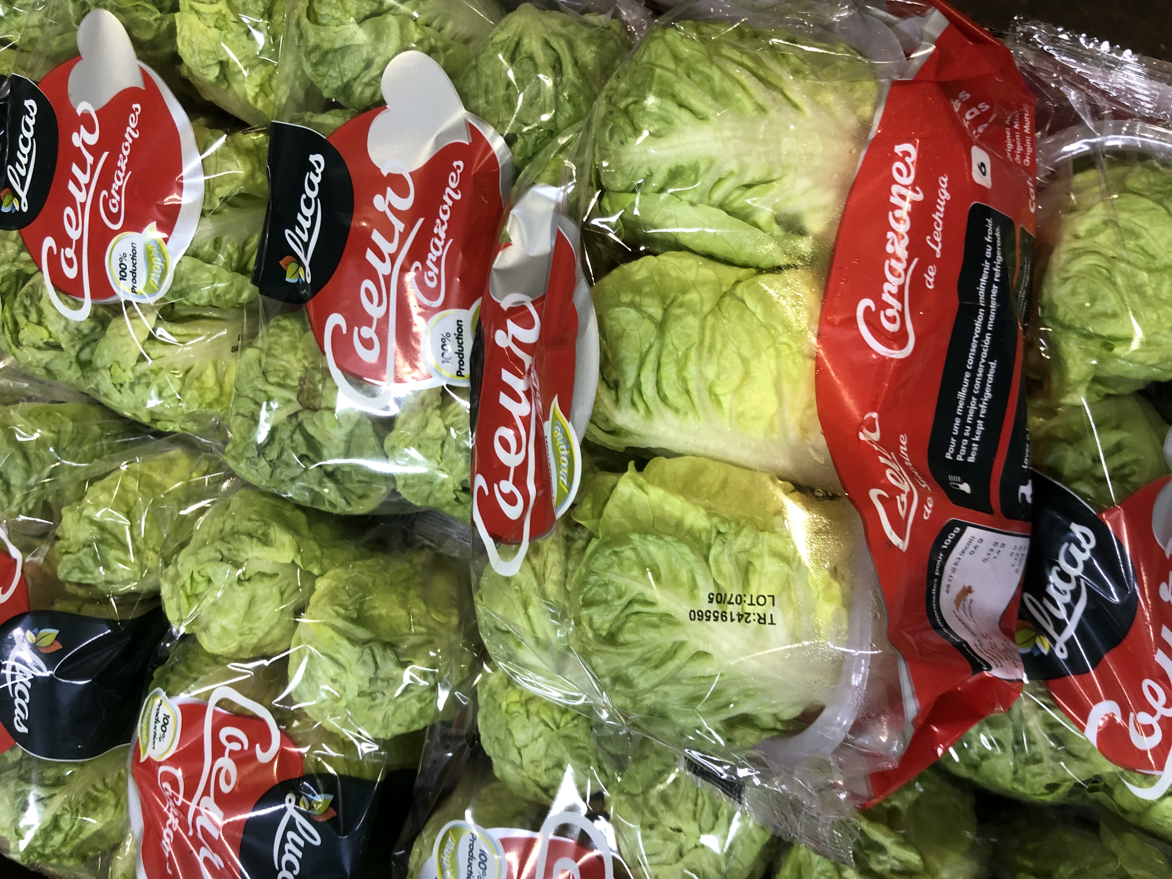 西班牙羅馬生菜心 Spain Little Gem Heart ±450g pack