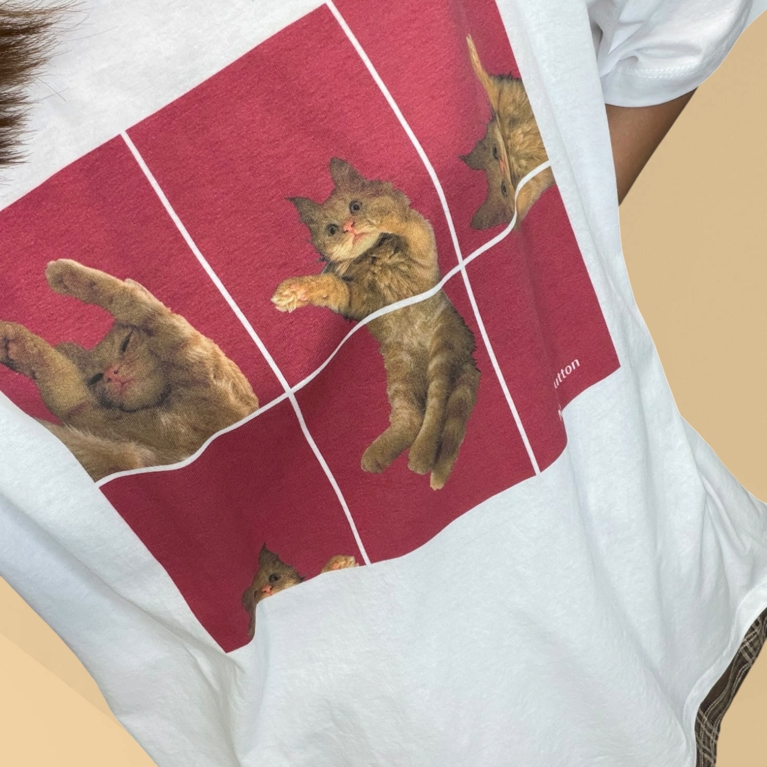 221160貓貓tee