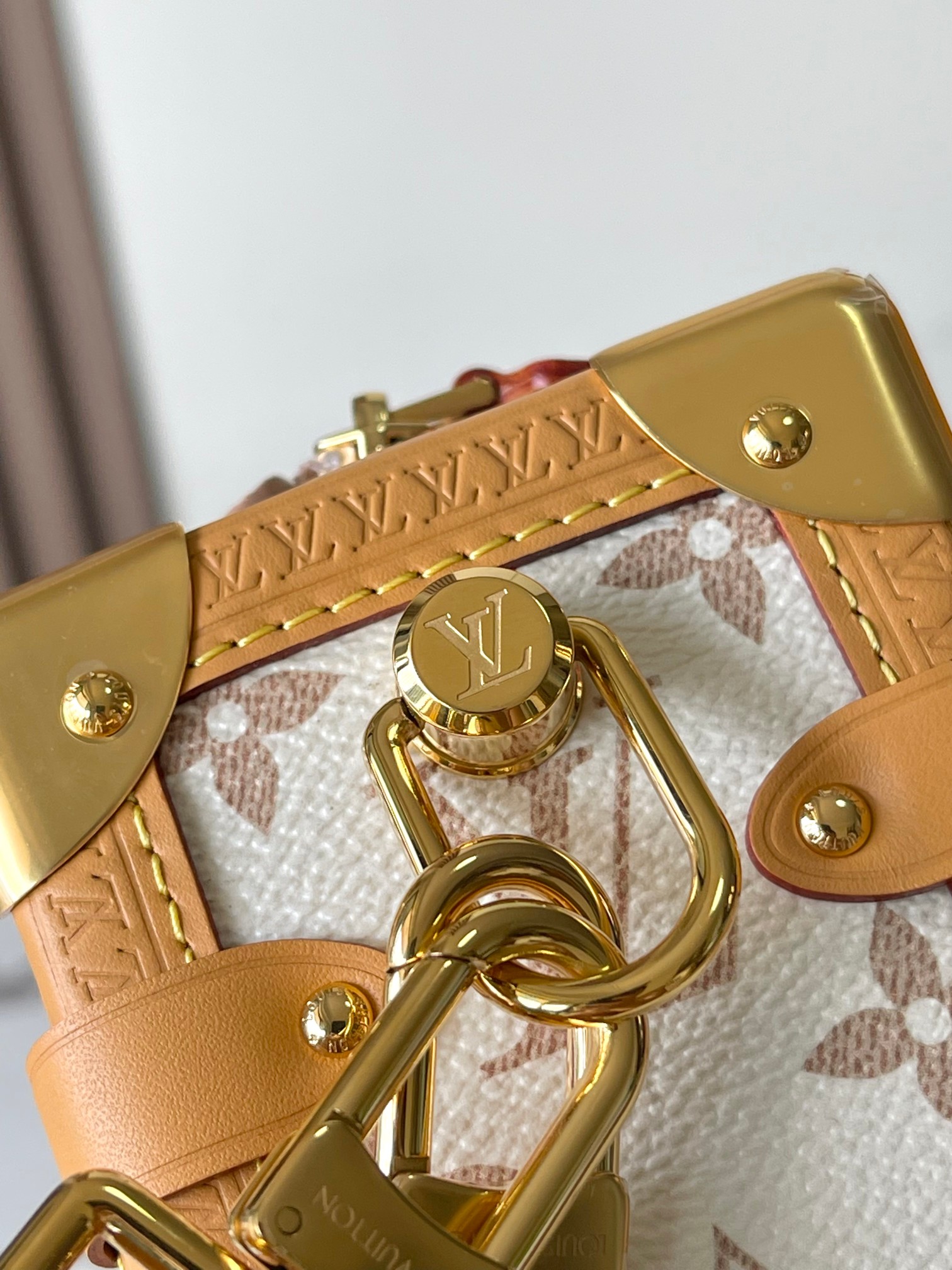 LV Louis Vuitton Side Trunk MM