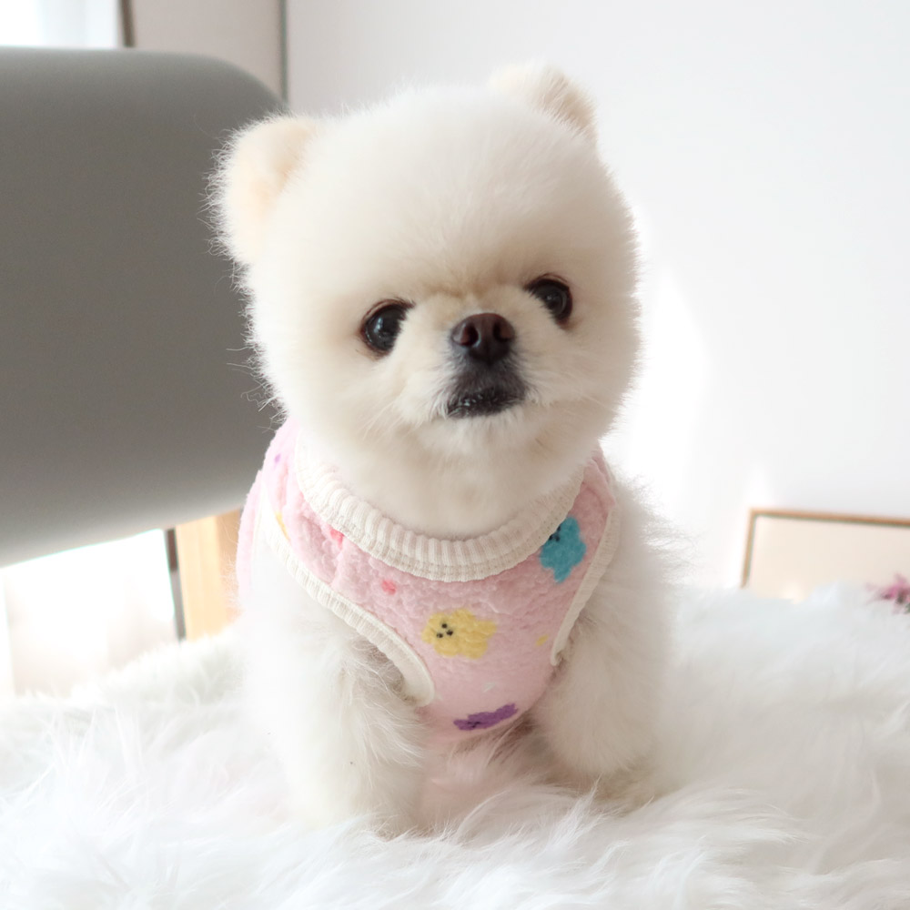 HONEY DOG🇰🇷 小熊軟棉棉背心 (4色)