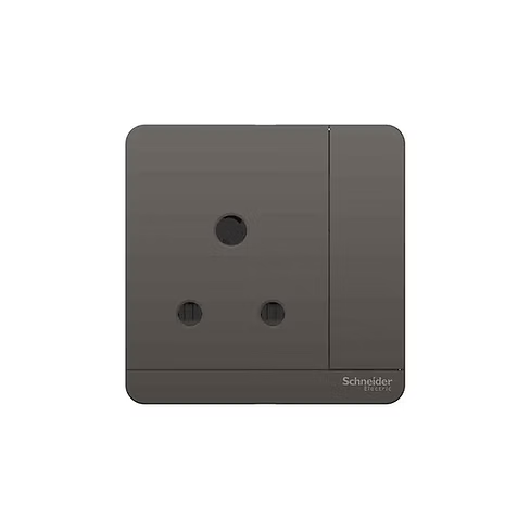 施耐德 AvatarOn 石墨灰 15A單蘇有掣有燈 插座