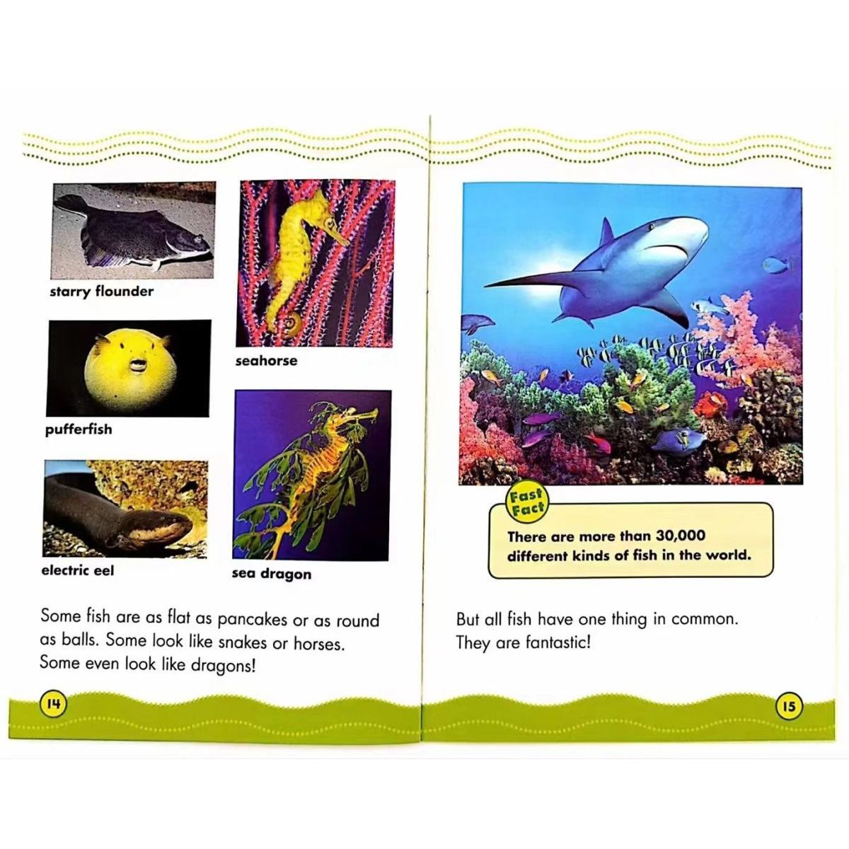 Scholastic Science Vocabulary Readers L1 (30冊) S83 | Children's 