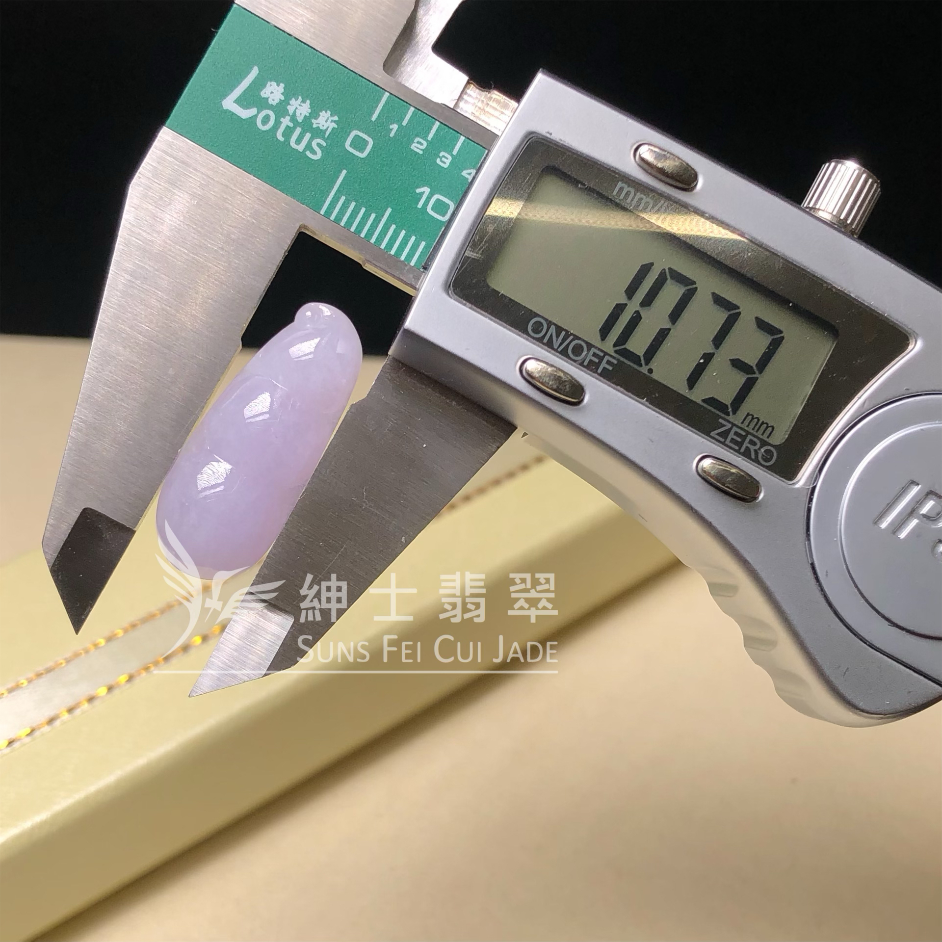 B09041 紫羅蘭福豆
