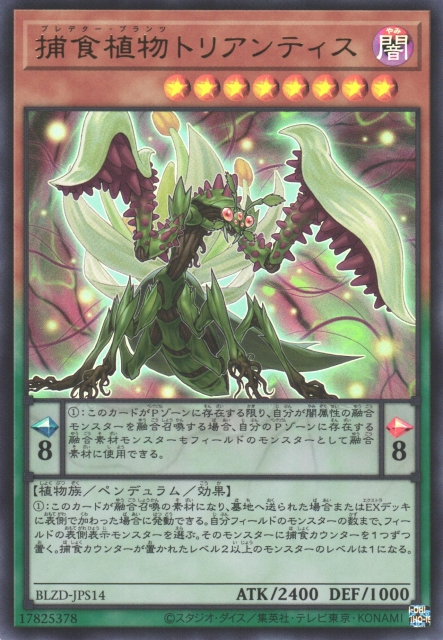 BLZD-JPS14 捕食植物 假水仙螳螂