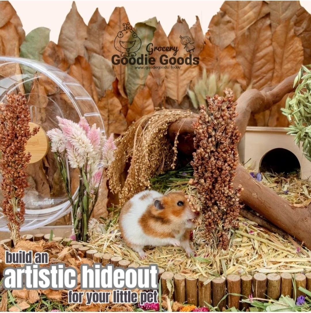 天然柔軟倉鼠寢具伴侶小動物棲息地裝飾適合敘利亞矮倉鼠沙鼠小鼠八齒鼠兔子或其他小型寵物