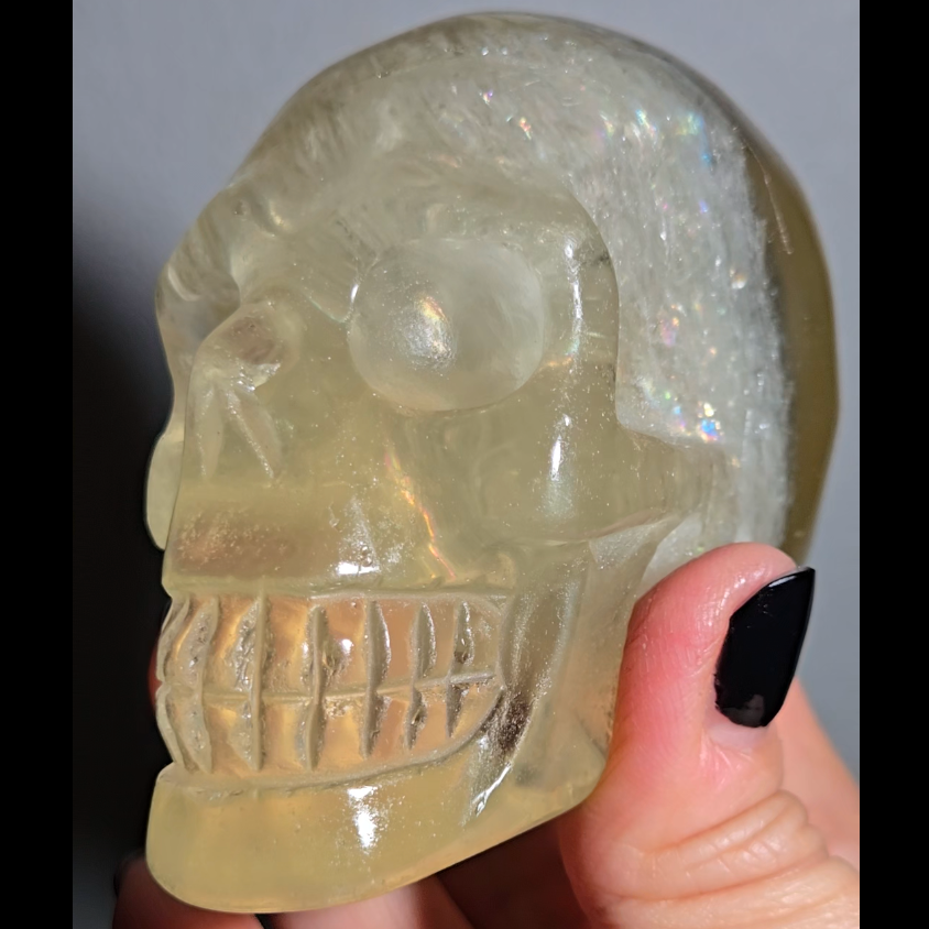 Citrine skull with rainbows and star flash asterism - C66