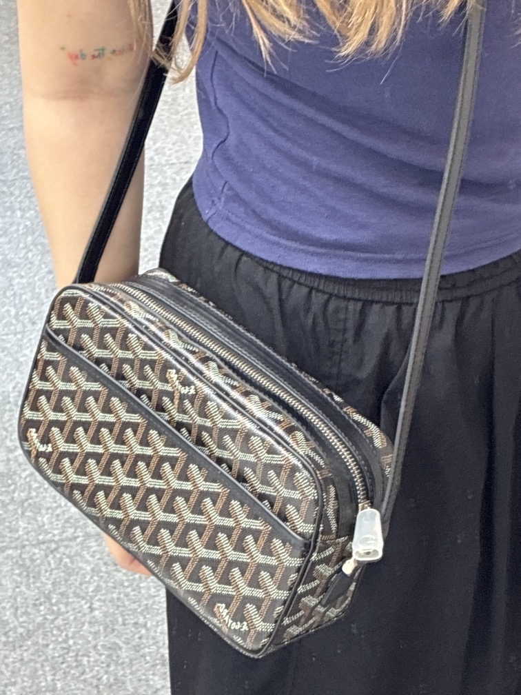 Goyard  cap-vert 相機包