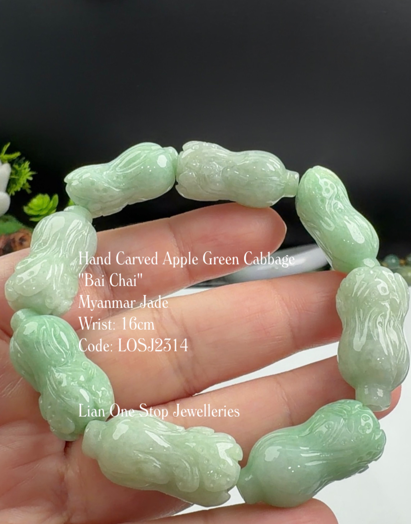 Code: LOSJ2314 Hand Carved Apple Green Cabbage "Bai Chai" Myanmar Jade