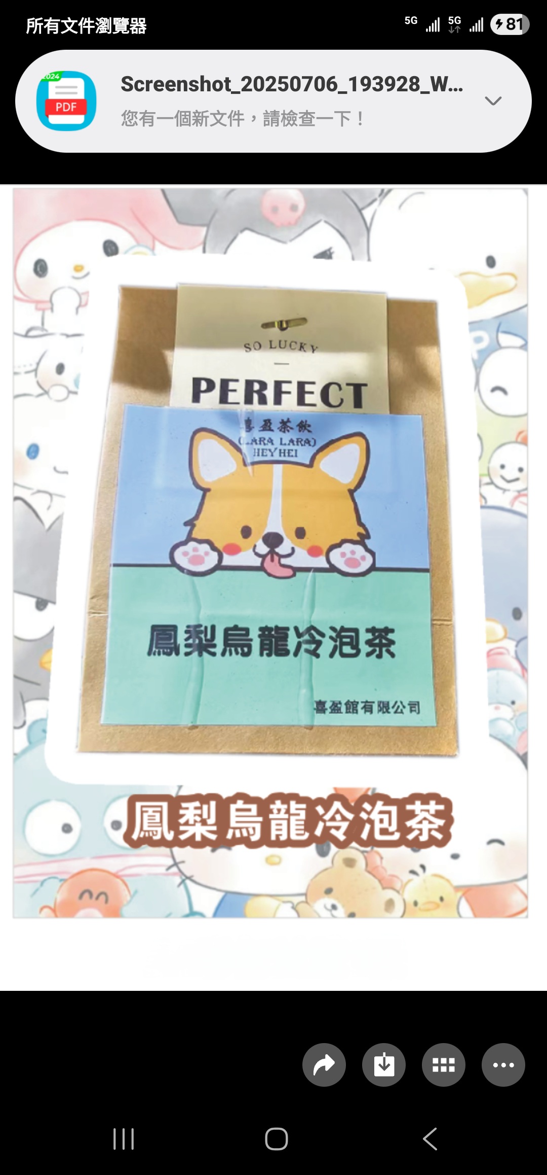 ***Lara-Lara 台灣果味茶糸列鳳梨烏龍茶包冷泡茶***