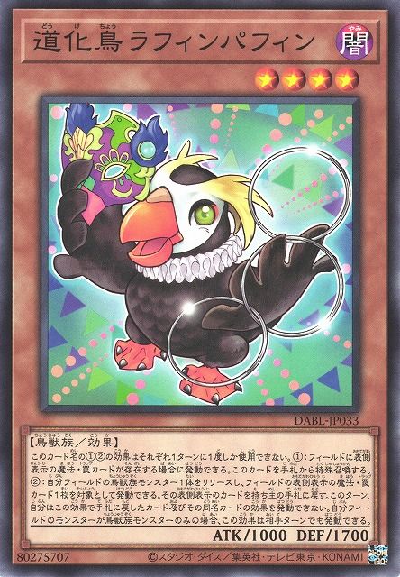 DABL-JP033  道化鳥 笑海鸚